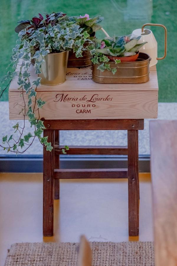 Alto De Santo Amaro Terrace Apartamento
